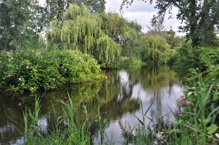 city park
